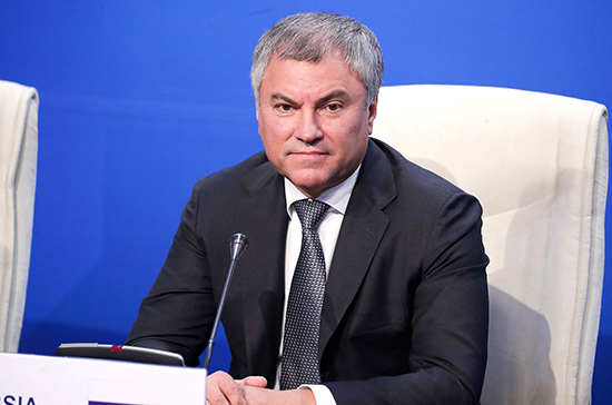 Володин объяснил, почему раздача денег в США не помогает американцам пережить пандемию  